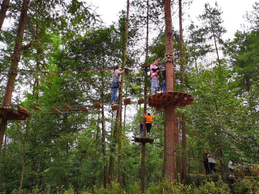 1750407682230493.jpg 1750407682230493.jpg